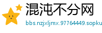 混沌不分网
